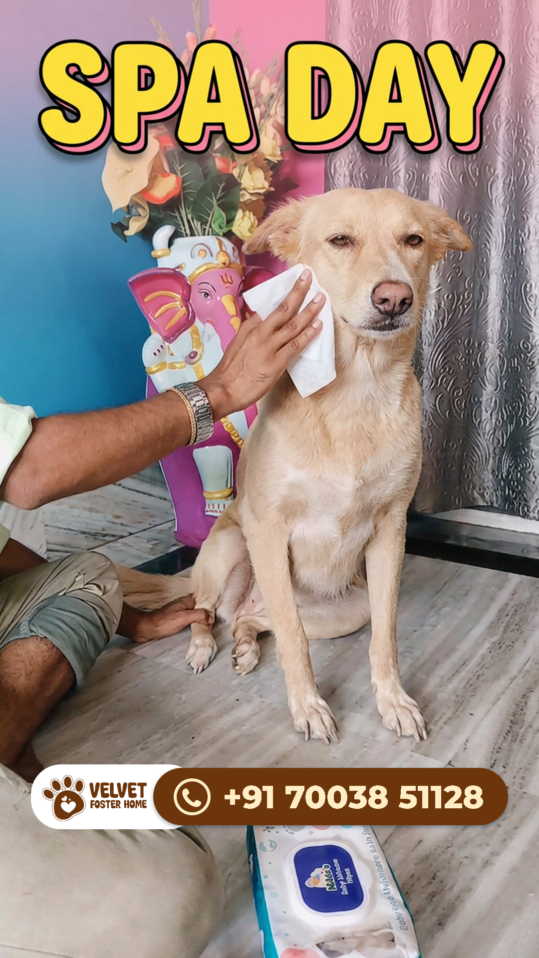 Happy pet parent reunion