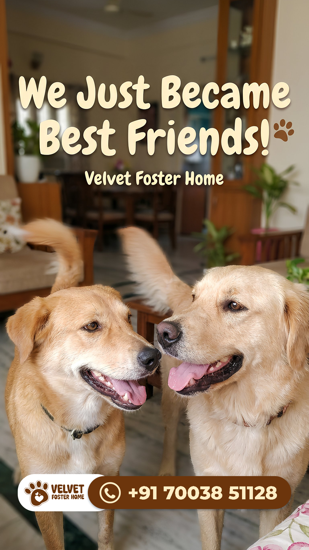 Happy pet parent reunion