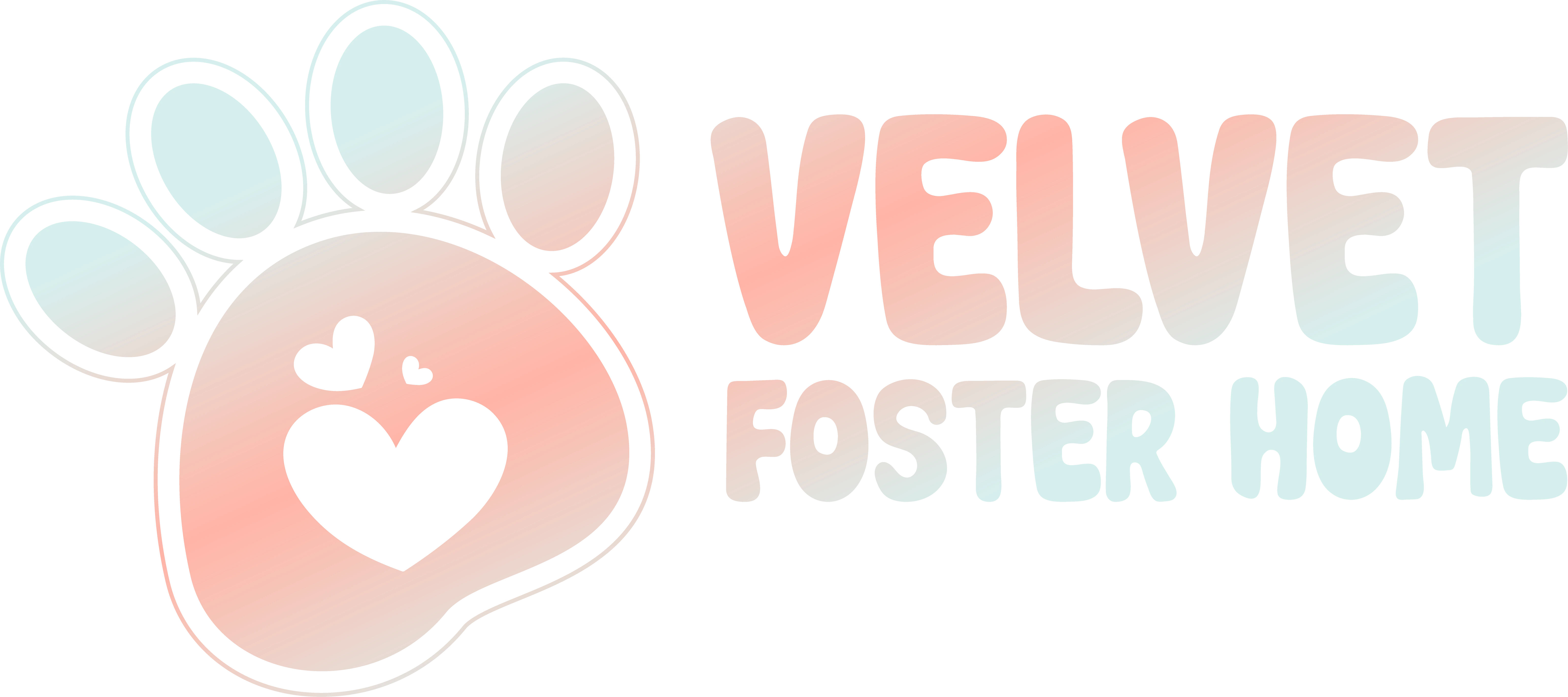 Velvet Foster Home - Best Pet Creche in Kolkata