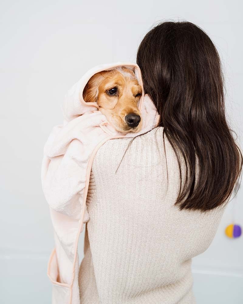 lovely-woman-taking-care-of-her-dog-at-home-